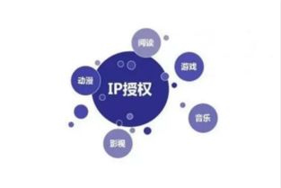 《新疆味道》 一部紀錄片的網絡文化創作與市場運營之道